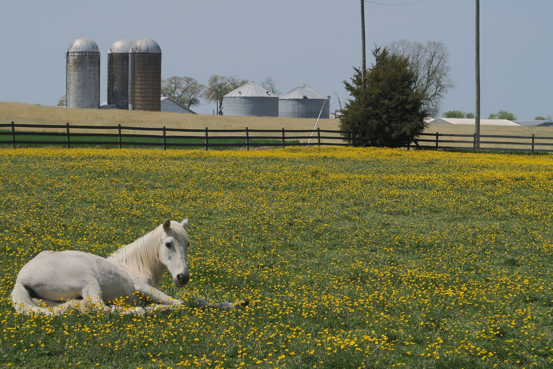 Scenic Virginia, May 19, 2018